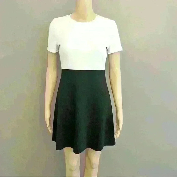 Zara Dresses & Skirts - Zara Minimalist black & white Mini  T shirt dress.